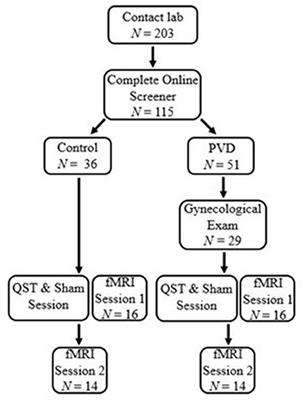 An Investigation of Descending Pain Modulation in Women With Provoked Vestibulodynia (PVD): Alterations of Spinal Cord and Brainstem Connectivity